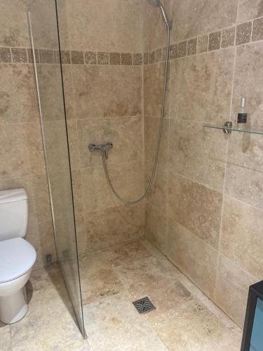 eine Dusche im Bad mit WC in der Unterkunft Terre Luberon in Pertuis