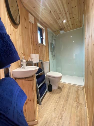 a bathroom with a sink and a toilet and a shower at Silo Green in Great Dunmow