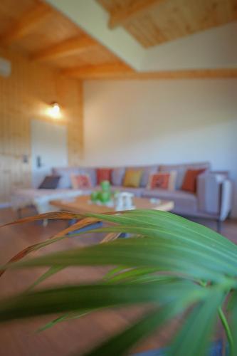 Gallery image of Shena The Farm Boutique in Mesopotam