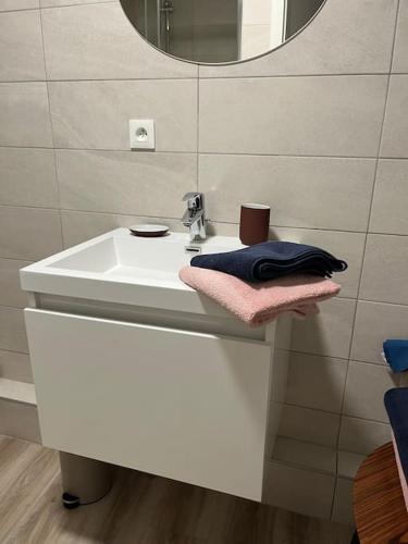 une salle de bain avec un lavabo et un miroir dans l'établissement Chez Mat - 4 pers - Proche Obernai, à Bernardswiller