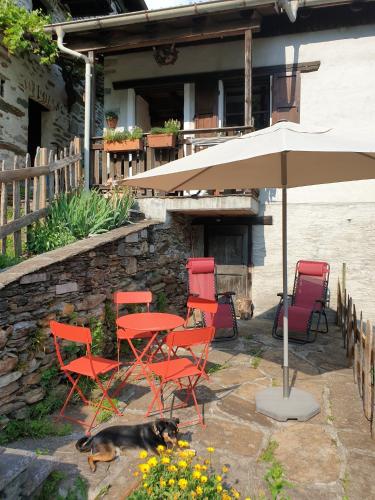 a dog laying on the ground next to chairs and an umbrella at Casa Piccola, Case di Zali in Falmenta
