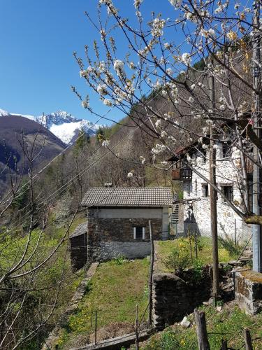a house on a hill with mountains in the background at Casa Grande in Falmenta