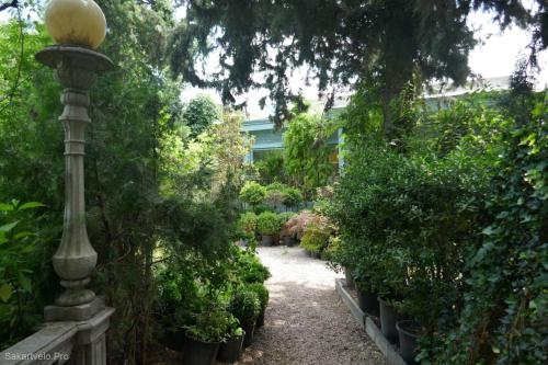 a garden with a lamp post and plants at medea in Tbilisi City