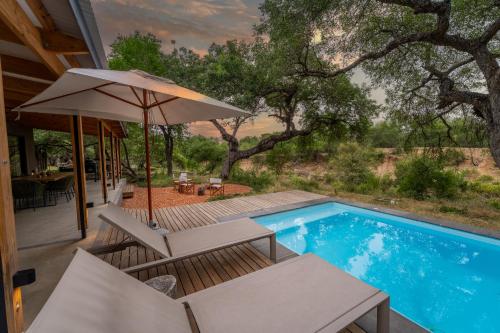 a house with a swimming pool and an umbrella at Nomads Den Luxury Villa with Riverbed View in Hoedspruit