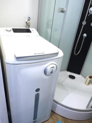 La salle de bains est pourvue d'une douche et de toilettes blanches. dans l'établissement Toulouse-Cyprien, typique à 10' Capitole & Carmes, à Toulouse