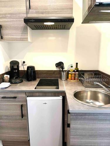 une petite cuisine avec un évier et une cuisinière dans l'établissement Toulouse-Cyprien, typique à 10' Capitole & Carmes, à Toulouse