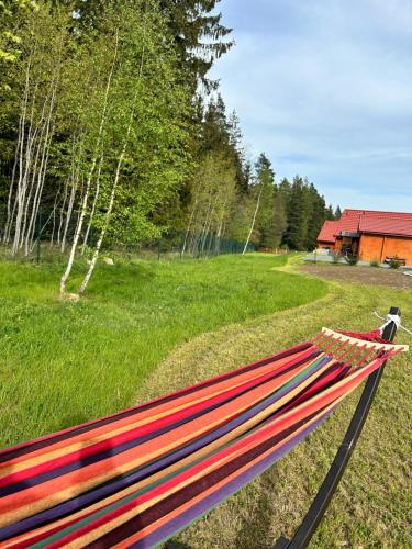 a colorful bench in a field with a house in the background at Okno na las in Polanica-Zdrój