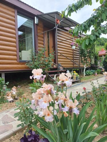a house with pink flowers in front of it at У Фёдера и Маргариты in Nizhnyaya Grabovnitsa