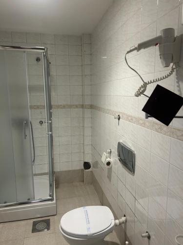 a bathroom with a shower and a toilet in it at Konačište Osmica in Mokra Gora
