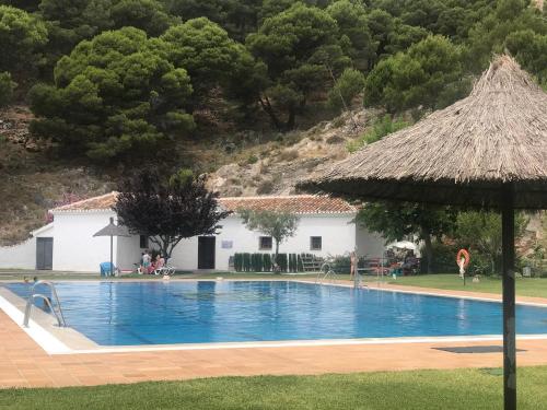 una gran piscina con techo de paja en Castra Vinaria, en Casarabonela