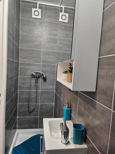 un baño con lavabo y ducha en appartement calme à 10mn à pied de la villette, en Le Pré-Saint-Gervais