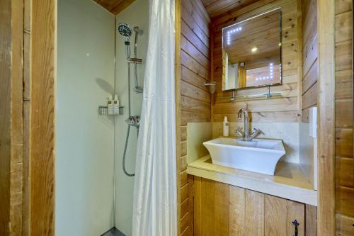 y baño con lavabo y ducha. en Egret Lodge with Hot-tub, en Carlisle