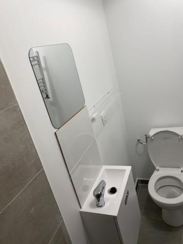 a white bathroom with a mirror and a toilet at G-Logement-Francilien Aéroport CDG, Parc des expositions Villepinte, Bourget, Astérix. in Goussainville