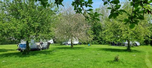 a field with trees and a rv in the grass at Chalet Hof van Autriche in Westdorpe