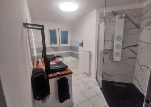 une salle de bain avec un lavabo, un miroir et une douche dans l'établissement Villa au calme avec piscine, à Villardonnel