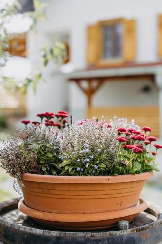 a pot of flowers sitting on top of a table at Urlaub im Kellerstöckl Dunst in Strem