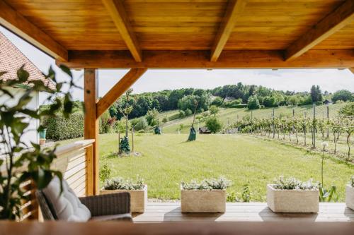 a view from the porch of a winery with a view of a green field at Urlaub im Kellerstöckl Dunst in Strem