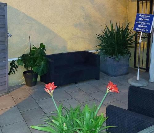 a room with some flowers and plants in a building at Hôtel Le Gambetta in Vias