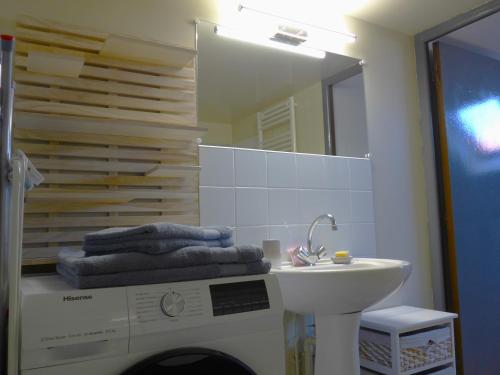 une salle de bain avec une machine à laver et un lavabo dans l'établissement Studio 38m2 centre-ville, à Bourges
