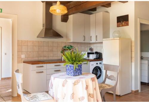 a kitchen with a table with a plant on it at Apartamento Ruta del Irati in Villaveta