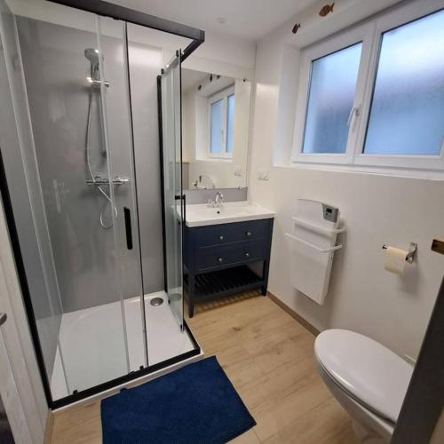 une salle de bain avec une douche, des toilettes et un lavabo dans l'établissement Maison de pêcheur au calme, à Bretignolles-sur-Mer