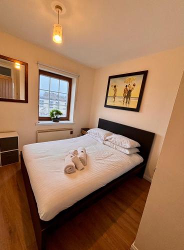 Sunshine on Leith. The River View Apartment! photo 11