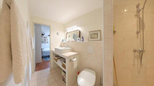 une salle de bain avec toilettes, lavabo et douche dans l'établissement Bijou- Charming Traditional Home with Pool in Minervois, à Saint-Jean-de-Minervois