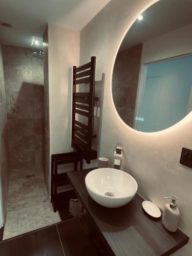 une salle de bain avec un lavabo et un miroir dans l'établissement Scandinavian appartement, à Saint-Avold