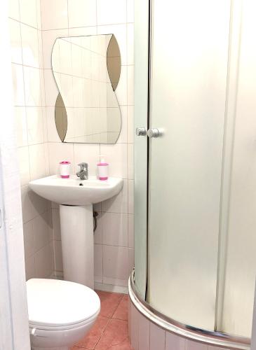 a bathroom with a toilet and a sink and a shower at Hotel Vesta in Brovary