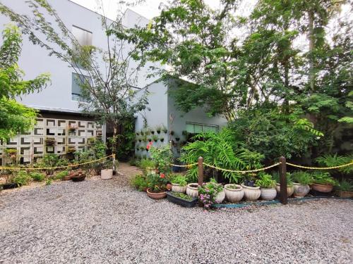 a garden with potted plants in front of a building at Hotel Pepita Palace in Sinop