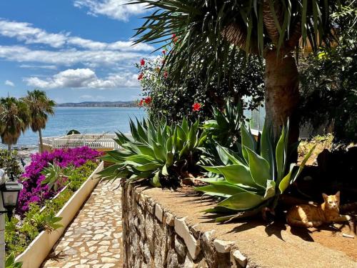 Un muro de contención con plantas y flores junto al agua. en Apartment La Luna- First Line Beach, en Benalmádena
