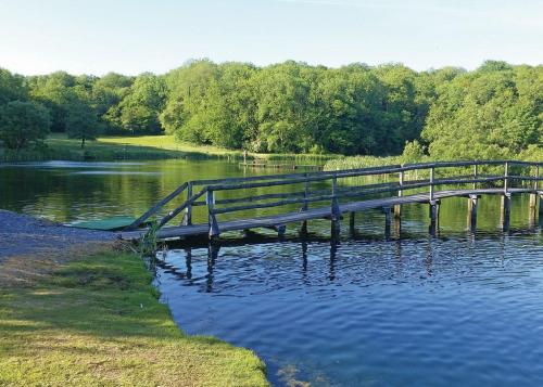 een houten brug over een meer met bomen bij Garnffrwd Park in Llanddarog