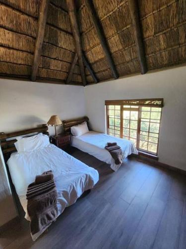 two beds in a room with two windows at Bateleur Lodge, Mabalingwe in Warmbaths