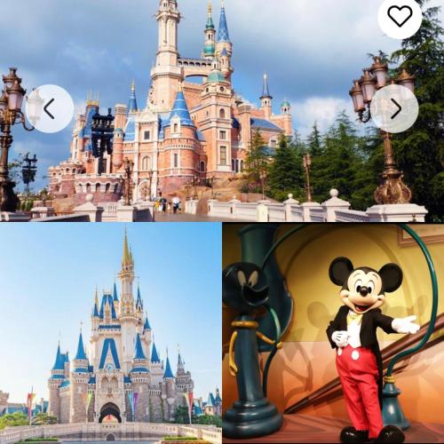 a collage of two pictures of cinderella castles at Momo palace in Tokyo