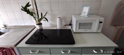 a kitchen counter with a microwave and a potted plant at Autrefois la Cure in Bonnefontaine