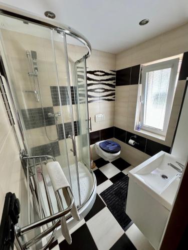 a bathroom with a shower and a toilet and a sink at Chata U Elka in Týn nad Vltavou