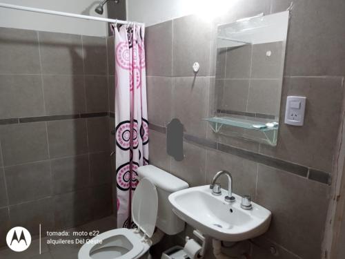 a bathroom with a sink and a toilet and a mirror at Alquileres del oeste in La Rioja