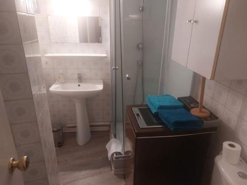 une petite salle de bain avec un lavabo et une douche dans l'établissement AJACCIO Beau Studio pour 3 a 4 pers en Plein Centre de la Vieille Ville Historique, à Ajaccio