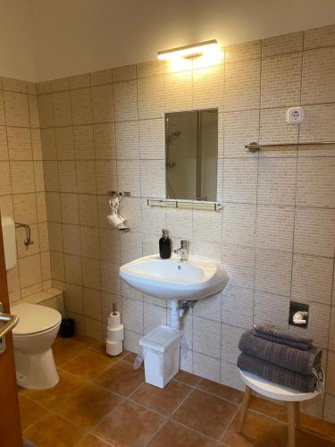 A bathroom at Takács Vendégház