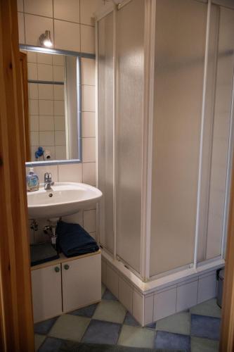 a bathroom with a sink and a shower at Haus Irina Zimmer in Kufstein
