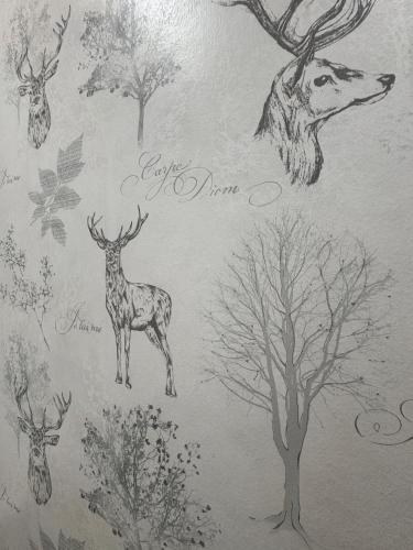 Animales en el hotel o alrededores