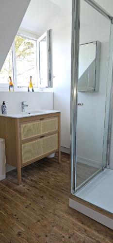 une salle de bain avec une douche, un lavabo et un miroir dans l'établissement Jolie maison avec vue mer imprenable proche plage, à Plouguerneau