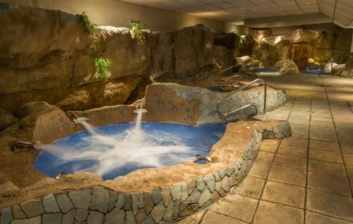 a large bath tub with two fountains in a zoo at Ilunion Les Corts Spa in Barcelona