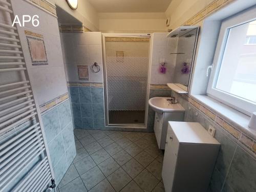 La salle de bains est pourvue d'une douche, de toilettes et d'un lavabo. dans l'établissement Apartmány Eva, à Batňovice