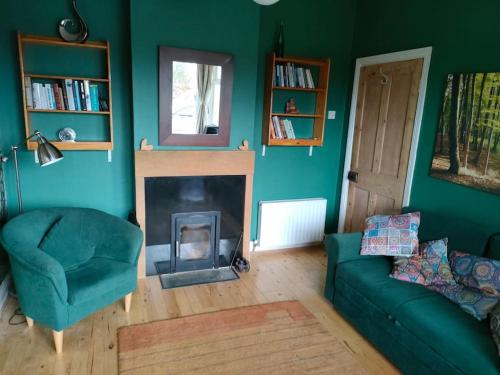 a living room with a couch and a fireplace at Hidden Hearts Apartment in Roscrea