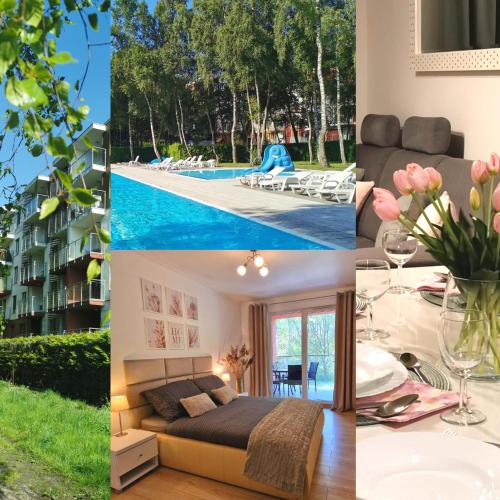 Seaside Forest - Apartment Polanki