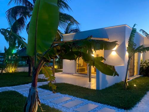 una casa con una palmera delante de ella en Lions Zanzibar SUITE&APARTEMENT with private pool - LUXURY ON THE SEASIDE en Bunju