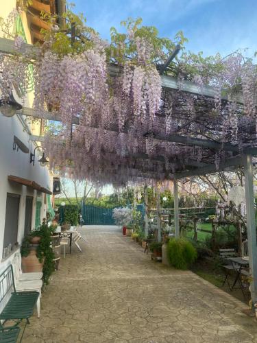 a pergola with purple wisteria hanging from it at La Locanda Del Tevere in Fiano Romano