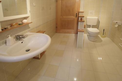 a bathroom with a sink and a toilet at Charming Chalet Rogla in Hudinja