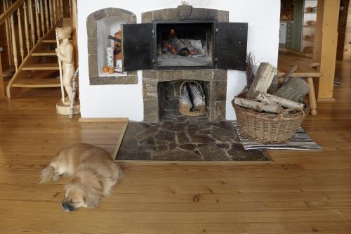 a dog is standing in front of a fireplace at Charming Chalet Rogla in Hudinja